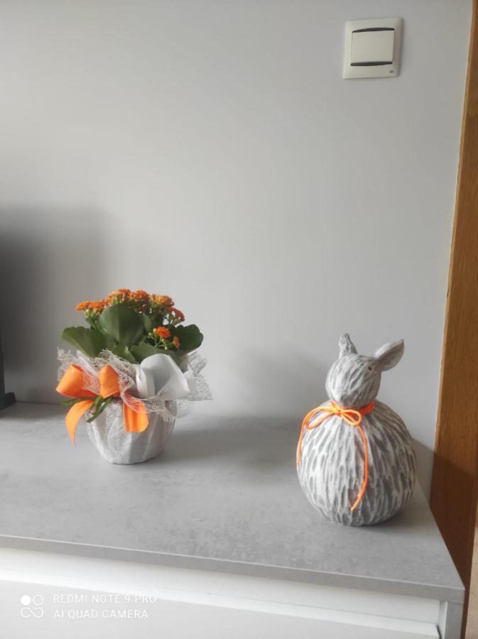 Apartamento En Malpica Costa Da Morte 외부 사진